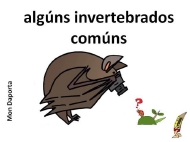 Algúns invertebrados comúns